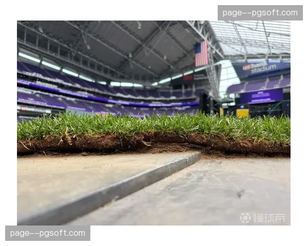 部分球场启动草皮养护计划，以确保地面传球速度与球员跑动安全